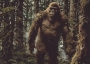 Bigfoot.