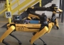 Boston Dynamics robot Spot wearing a hat.