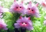 Fake cat-shaped flowers.