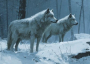 Dire wolves