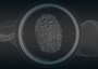 A fingerprint.