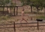 Strange figure found on Google Street View.