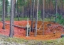 8,000-year-old fort in Siberia.