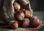 Hazelnuts