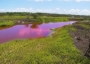 Pink water at Kealia Pond in Hawaii.