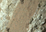 Mars leopard rocks
