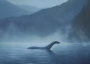 Loch Ness Monster