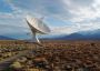 OVRO 40 Meter Radio Telescope