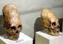 Paracas Skulls