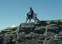 Robot horse