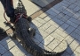 Alligator on a leash.