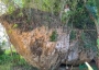 Giant boulder