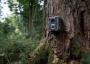 Trail camera