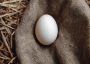 Egg