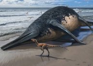 Giant Ichthyosaur